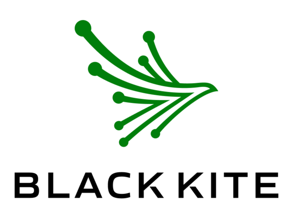 Black Kite