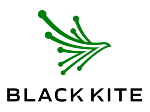 Black Kite